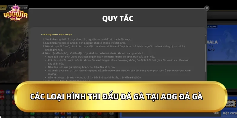 Các loại hình thi đấu đá gà tại AOG Đá Gà tại VVVWin
