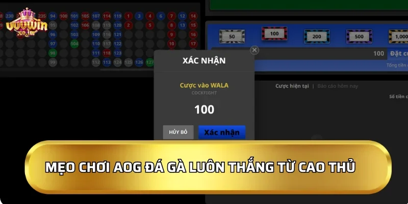 Mẹo chơi AOG Đá Gà luôn thắng từ cao thủ