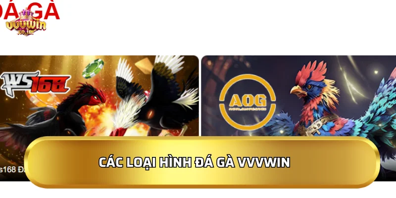 Các loại hình Đá gà VVVWin